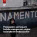 Passageiros perseguem ladrão e recuperam celular roubado dentro de ônibus no Rio; VÍDEO